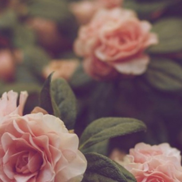 Meet your Posher, Janelle - Picture 1 of 1